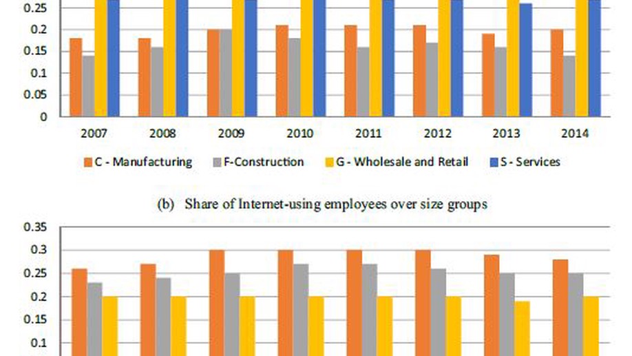 ICT labor, software usage, and productivity: firm-level evidence from Turkey